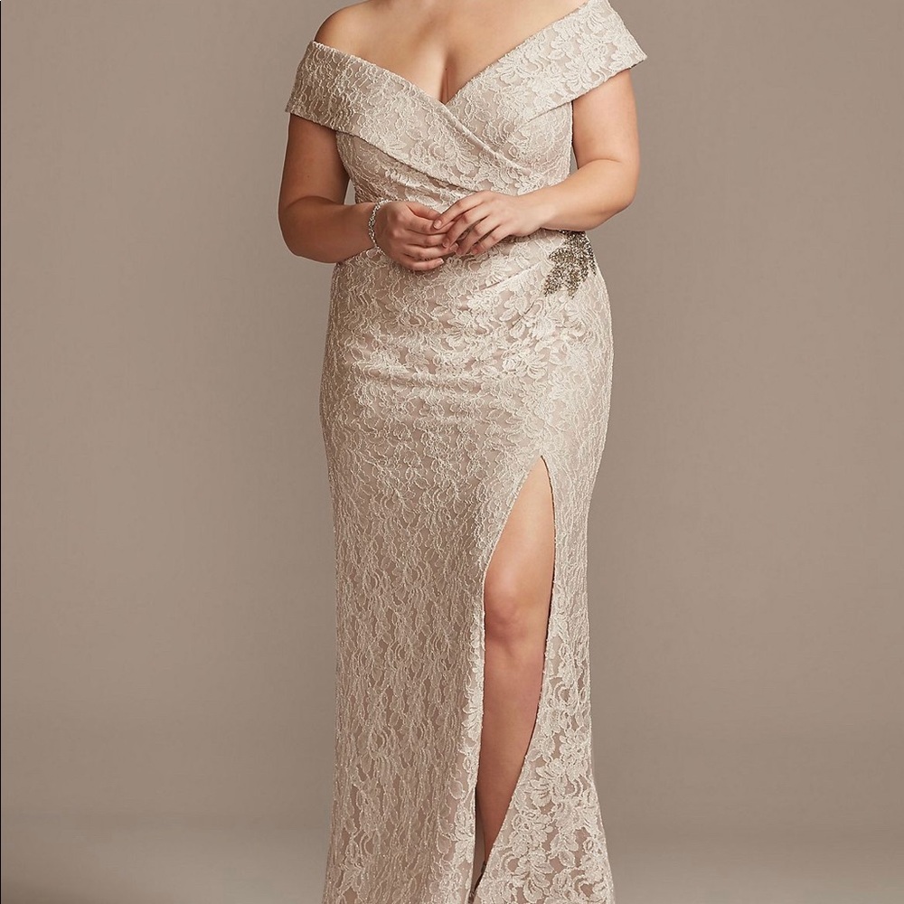 David’s Bridal size 14W